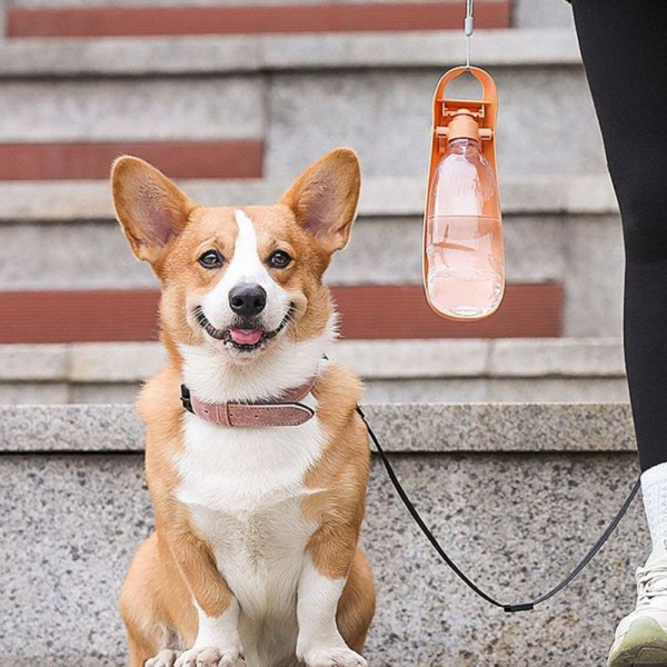 Bärbar vattenflaska för sällskapsdjur för husdjur orange