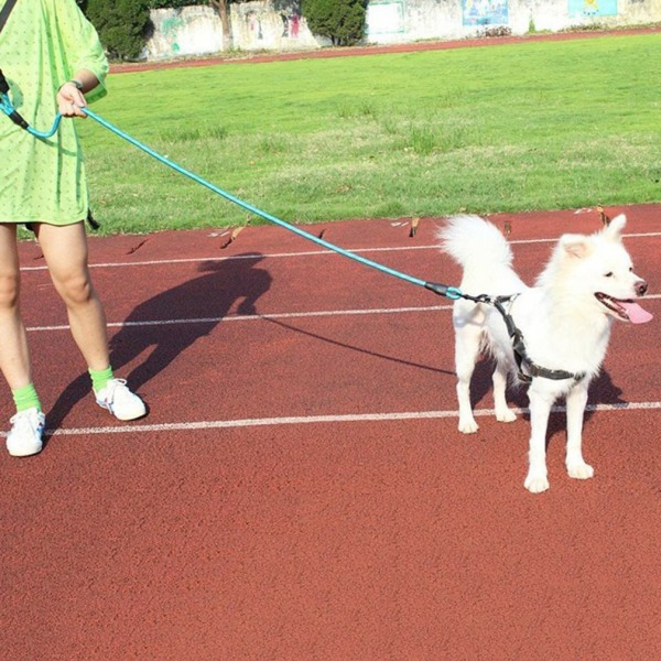 Nylon hundselekoppel för medelstora hundar leder Säkerhet Mountain Climb Dog koppel purple