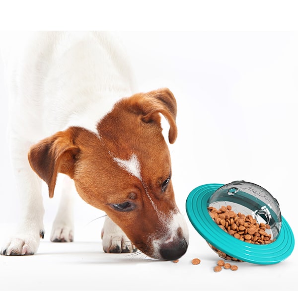 Flygande tefat Hund Spel Flying Discs Leksaker Cat Slow Feeder blue 164*112mm