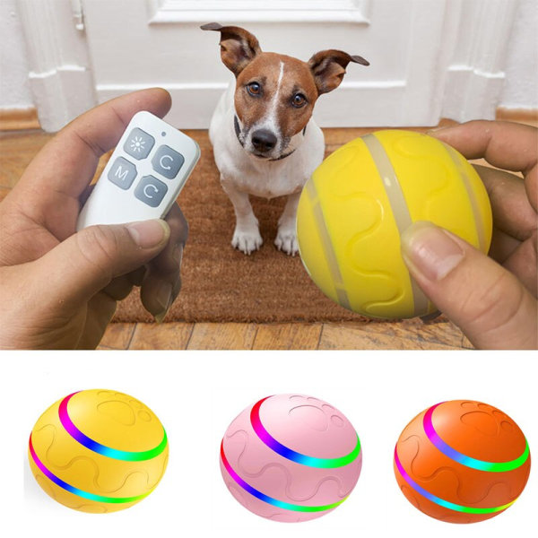 husdjur leksak boll agility utbildning glödande boll orange remote control