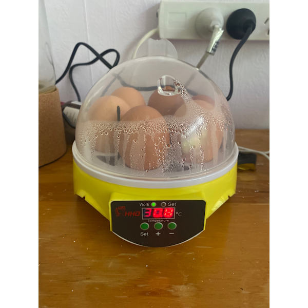 Mini Eggs -hautomokone EU plug