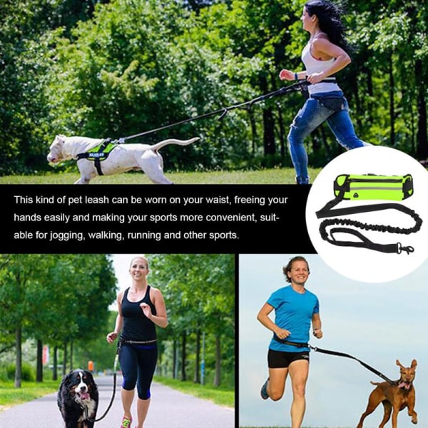 Reflekterande husdjurskoppel Elastisk hand Jogging hund dragrep löper midja Pack 01-black