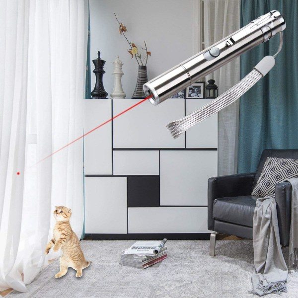 Galaxy LED-pekare katt hundleksak husdjur LED-ljuspekare med USB-kabel