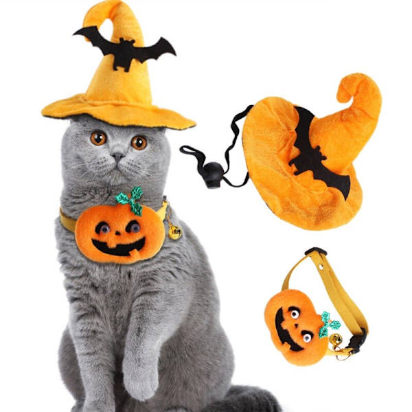 Halloween Pumpa Hatt Katt Hund Party Dress Up orange small