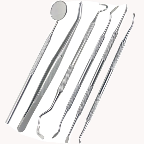 Dental spegel verktygssats i rostfritt set 6pcs