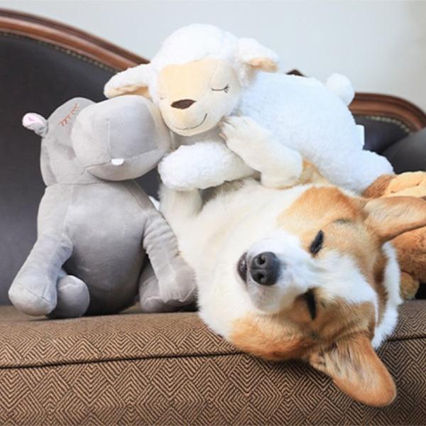 Hvalpe adfærdstræningslegetøj Plys kæledyr Komfortabel Snuggle white sheep
