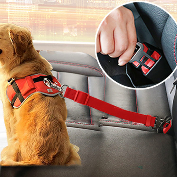 Justerbart säkerhetsbälte för husdjursbilar för resor Traction Halsbandsele Hundblyklämma husdjursprodukt blue