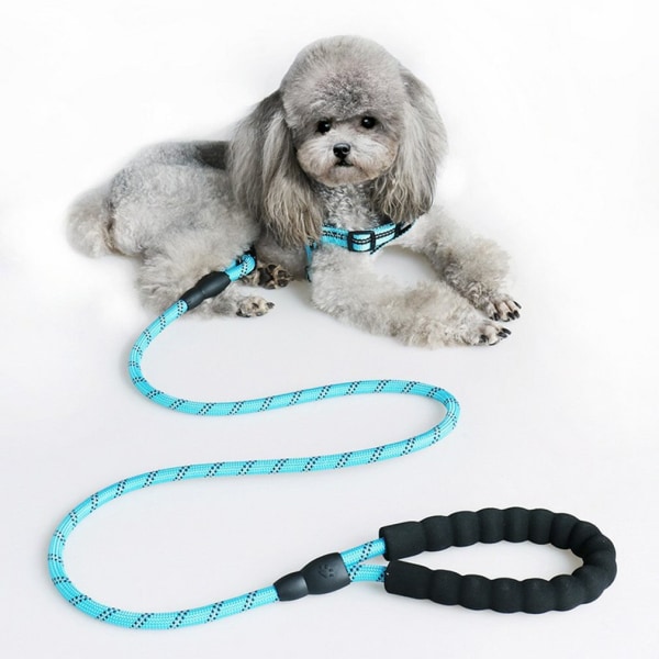 Nylon hundselekoppel för medelstora hundar leder Säkerhet Mountain Climb Dog koppel blue