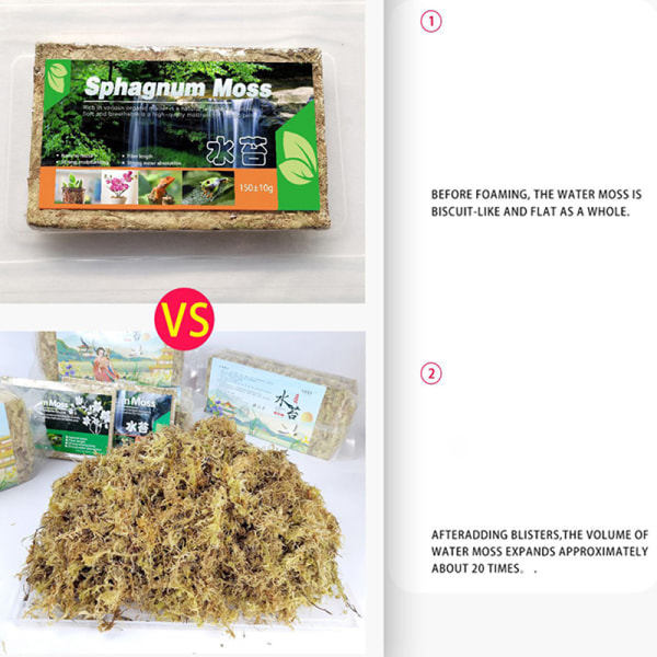 IC 1Pack Naturlig Sphagnum komprimerad vandmos Orkidéhavearbejde s Grøn one size