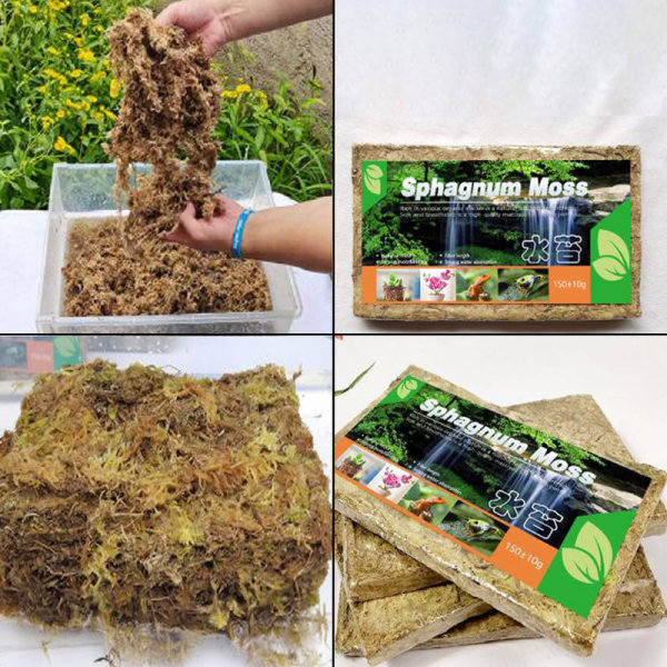 IC 1Pack Naturlig Sphagnum komprimerad vandmos Orkidéhavearbejde s Grøn one size
