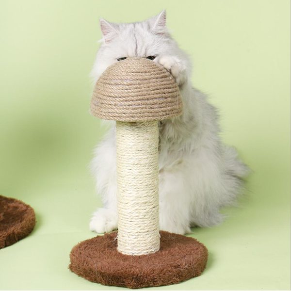 Wood Base Pet Toy Scratch Board Ball Rolig katt