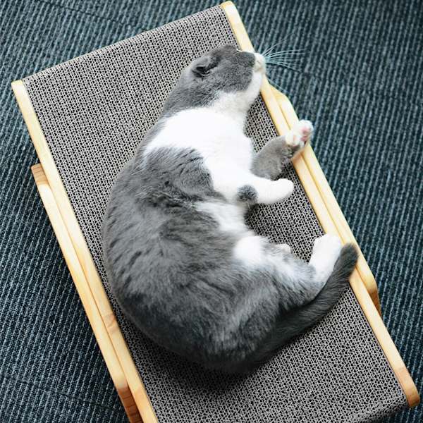 Cat Scratcher Scraper Lounge Bed Träram Cat Scratching