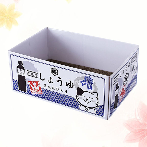 Creative Pet Cat Pappersskrapa case Kat