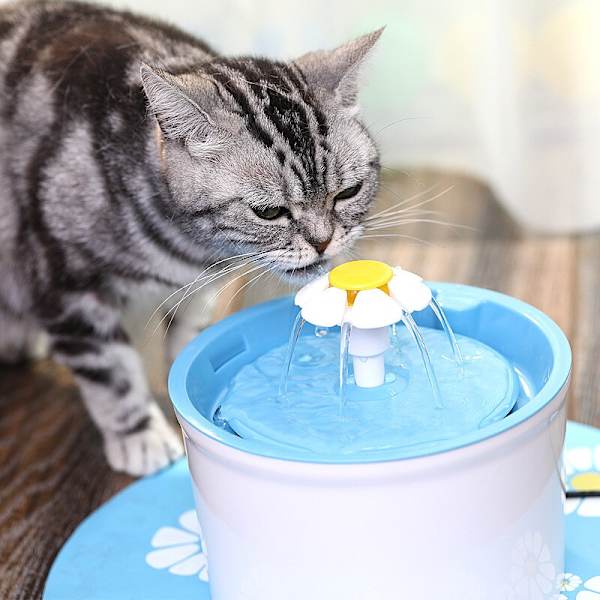 1,6L kattvattenfontän Hunddricksskål Husdjursautomat