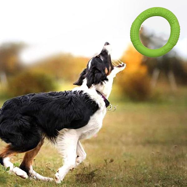 Hundfrisbee, frisbee hundleksaksring som flyter i vatten utomhus
