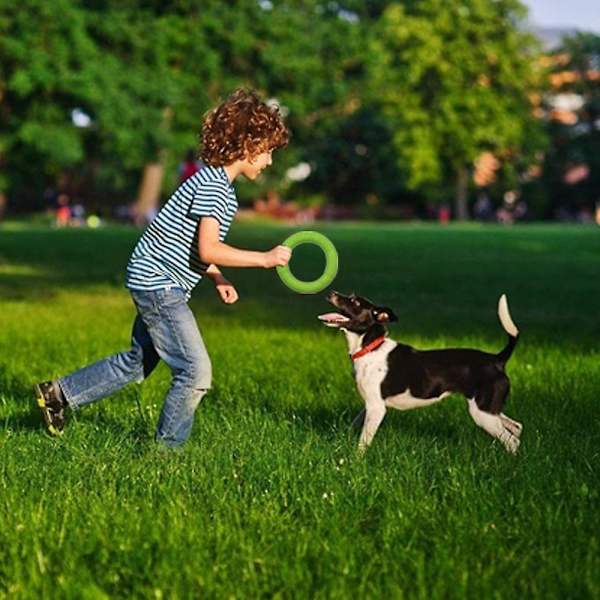 Hundfrisbee, frisbee hundleksaksring som flyter i vatten utomhus