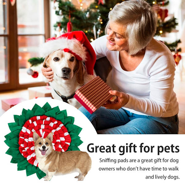 Pet Snuffle Mat Hundar Läckage Mat Anti Choking Mat Katt Hund