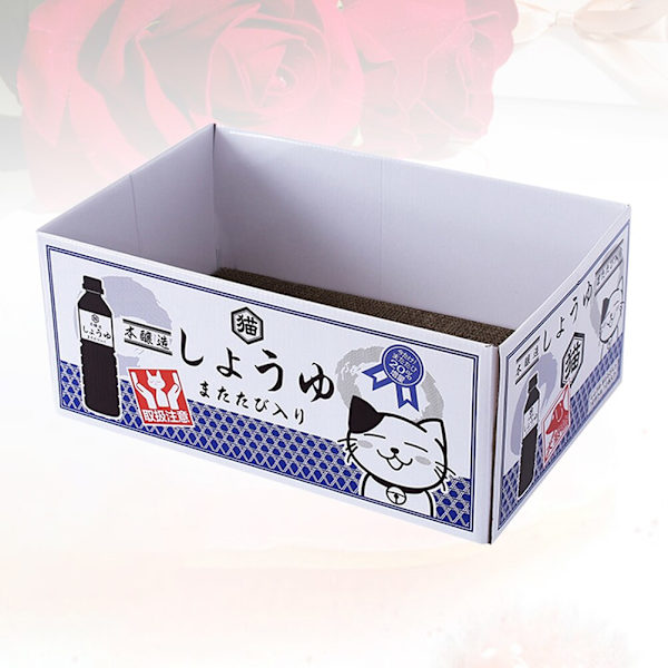 Creative Pet Cat Pappersskrapa case Kat
