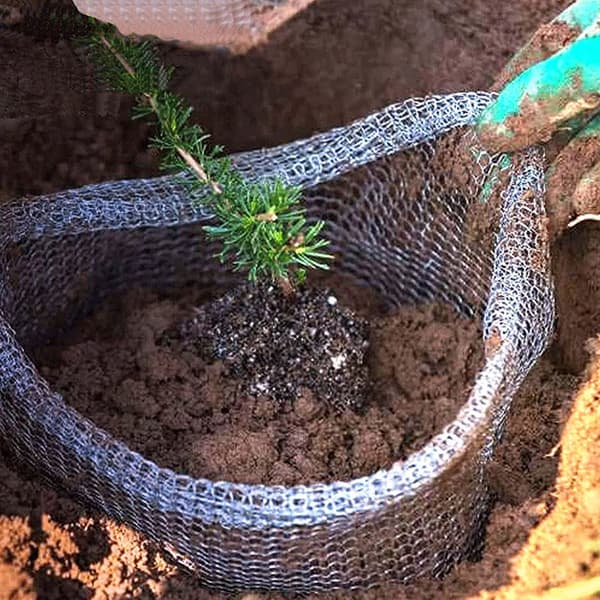Trådstickade grönsaksblommor växtskydd växtrotpåsar korgväskor 24x24inh