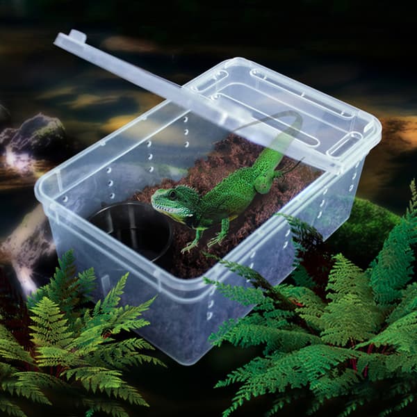 Reptilskål Matningslåda Ormkläckningsbehållare Ödla Tarantellhabitat