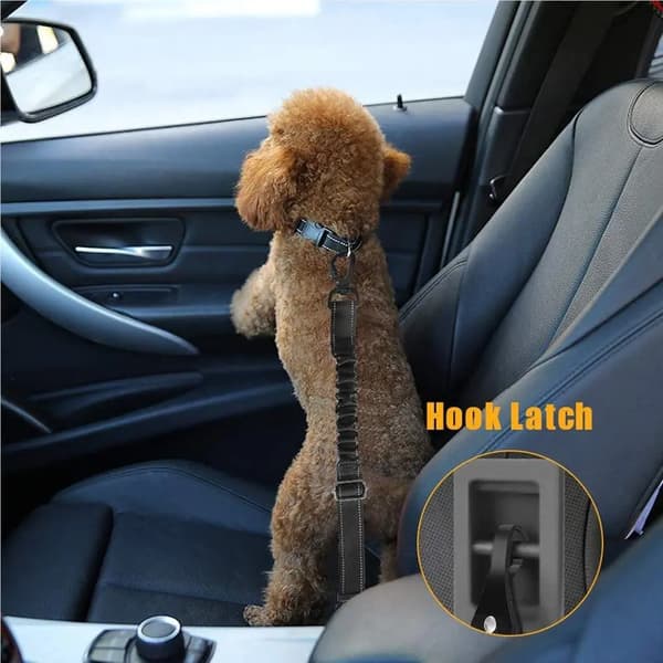 Reflekterande husdjurskoppel Elastisk hand Jogging hund dragrep löper midja Pack 01-black