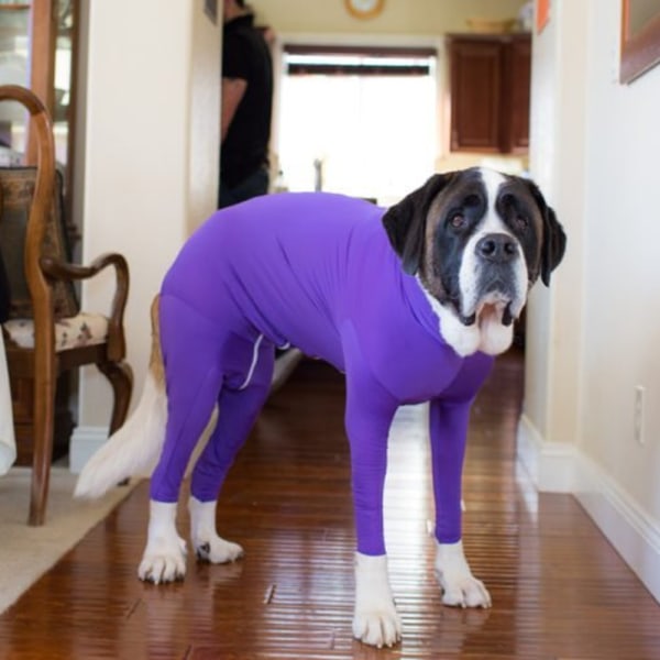 Sport Dog Onesie - Avlägsning av hundhår för hem, bil, resor, L