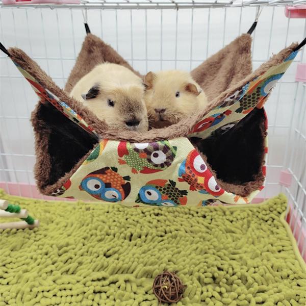 Fåglar Hängmatta Plysch Hängande Hus mådjur Ekorre 2 Layer Hammock Beds null - 3 null - 3 S