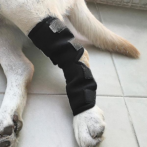 Koiran nuolemista estävä jalkakääreen suoja Nallejalka Hase Sleeve Compression Brace Suoja M