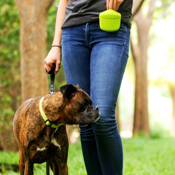 Den nye hundehvalpegodbidder Pouch Walk Obedience Training R Green