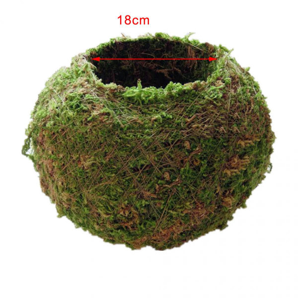 2st Ball Moss Blomkrukor Planteringsmaskin Bonsai Trädgårdsdekor