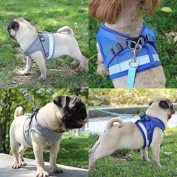 Kattesele, Kattesele Escape Proof Blue Blue 46cm