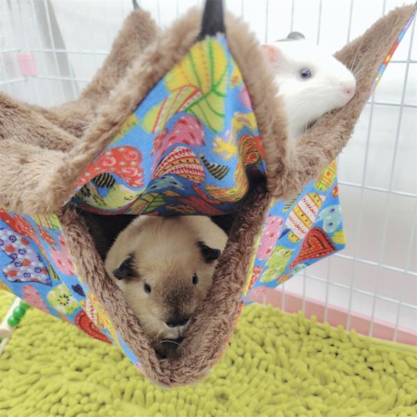 Fåglar Hängmatta Plysch Hängande Hus mådjur Ekorre 2 Layer Hammock Beds null - 3 null - 3 S