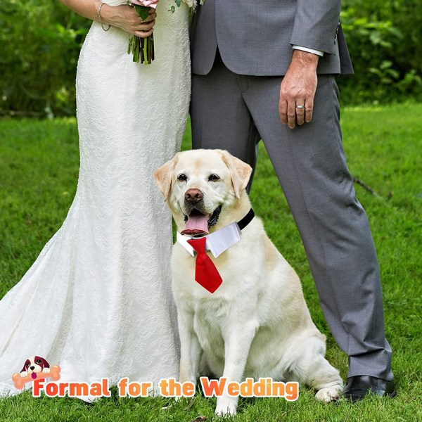 Justerbart Hundehalsbånd Hundehalsbånd med slips Bryllup red-M