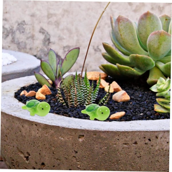 20 stk mini skildpadde miniterrarium miniature dyr Terrarium container havskildpadde udstoppede dyr skildpadde statut