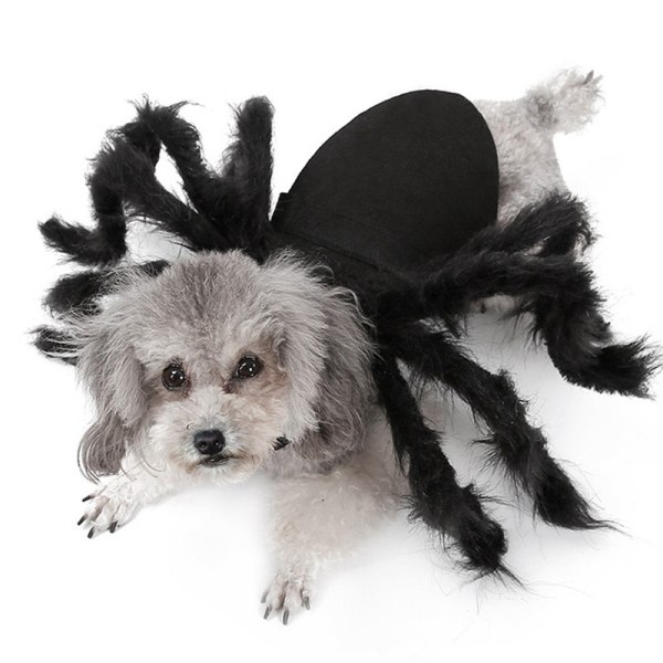 Pet Black Spider Kostume Hund Kat Halloween Spider Cosplay Outfit L (125cm)