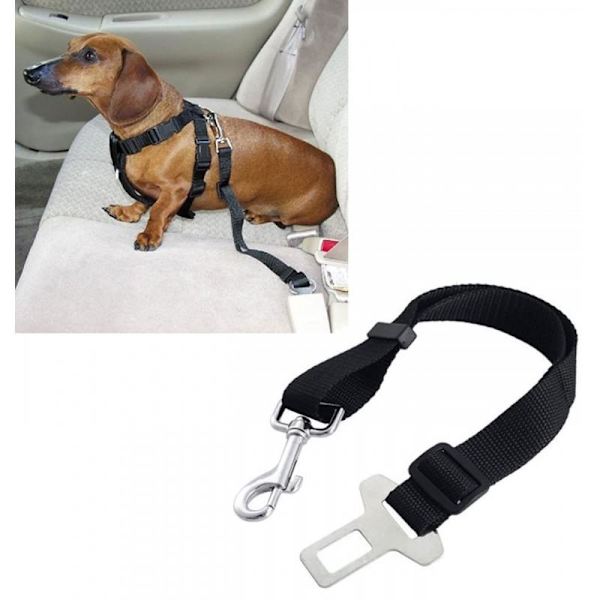 Sikkerhedssele Hund / Kat black