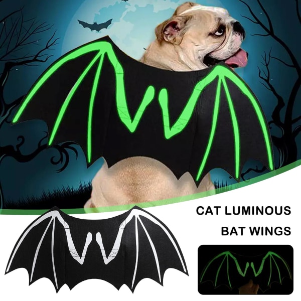 Halloween Kreativa Hund Katt Lysande Fladdermusvingar Kläder J luminousA S
