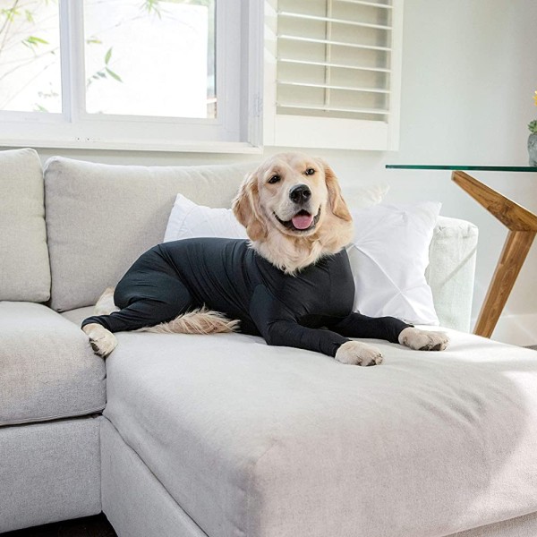 Sport Dog Onesie - Avlägsning av hundhår för hem, bil, resor, XL