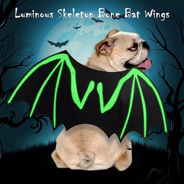 Halloween Creative Hunde Kat Lysende Bat Wings Tøj J luminousA S