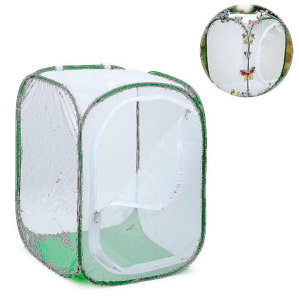 stort sammenleggbart burterrarium for sommerfuglhabitat, insekt- og sommerfuglnett for avlsarbeid null null none
