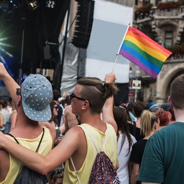 Söt Regnbågsflagga 4-pack: Stöd HBTQ & Mångfald! multifärg