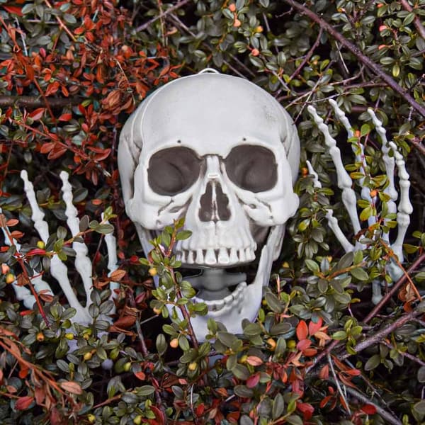 Fullstort Skelett: Perfekt Halloweenfest Gäst, 170cm grå