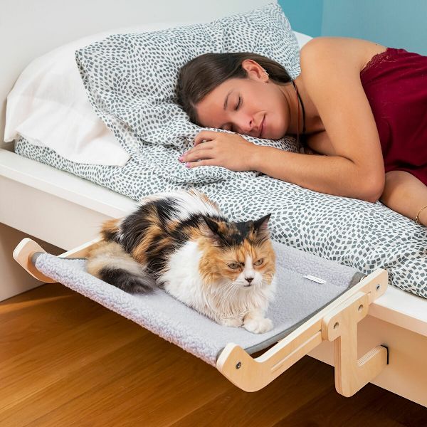 Kattvock grå