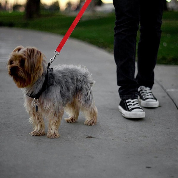 Säkerhetsbälte för Hund: Trygg Bilresa & Justerbar Koppel Svart