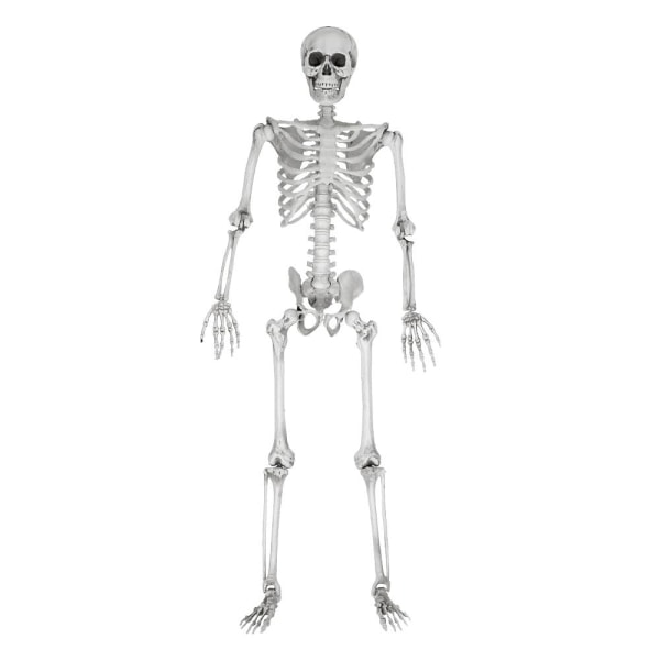 Fullstort Skelett: Perfekt Halloweenfest Gäst, 170cm grå