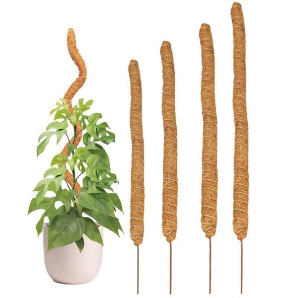 Smart Växtstöd 60cm: Böjbar Design för Optimalt Stöd Beige