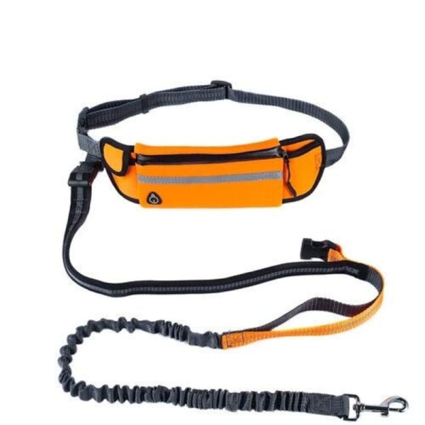 Aktiv Hundkoppel & Magväska: Flexibel, 160cm, Orange Orange
