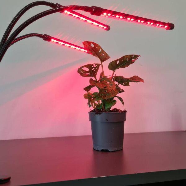 LED Odlingslampa: Justerbar, Timer, 3 Lägen, Klämma Svart