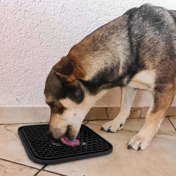 Hundslickmatta för långsammare ätande och bättre andedräkt Blå