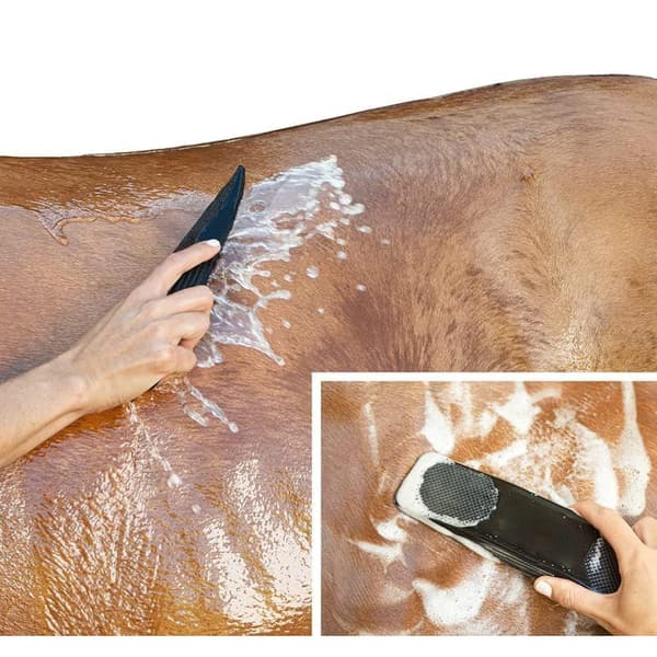 Effektiv djurborste för pälsavlägsnande och massage Svart